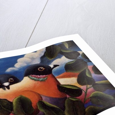 Bill and Coo by Jerzy Marek