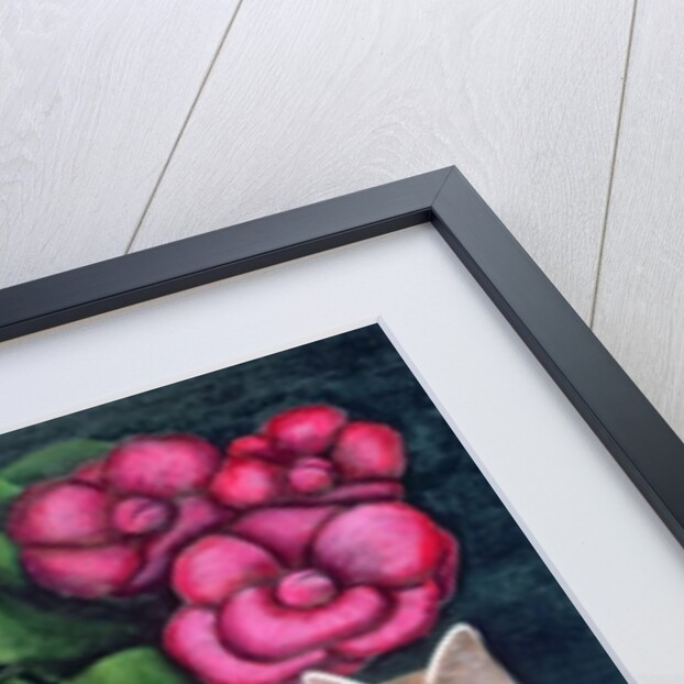 Tango by Jerzy Marek