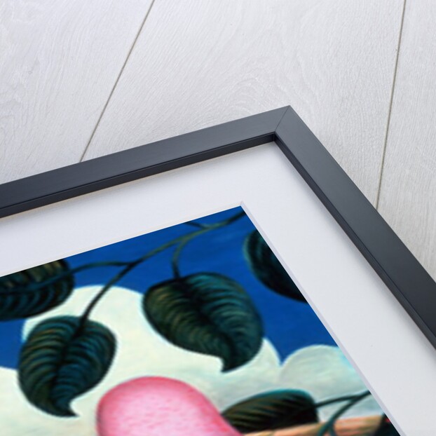 In the Pink by Jerzy Marek