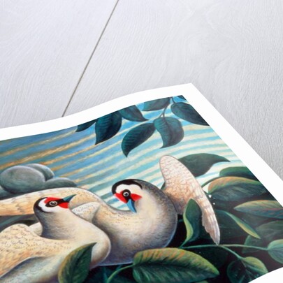 The Love Birds by Jerzy Marek