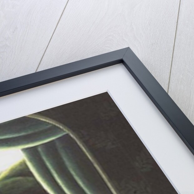 A Room with a View by Jerzy Marek