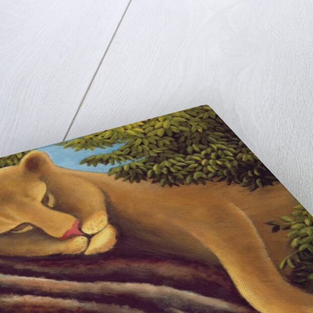 The Dream by Jerzy Marek