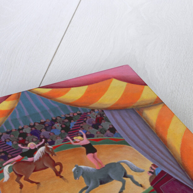 The Circus by Jerzy Marek