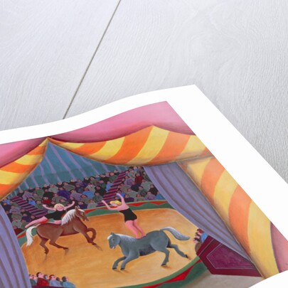 The Circus by Jerzy Marek