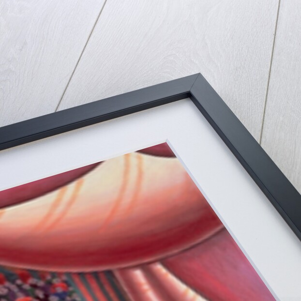 The Circus Ring by Jerzy Marek