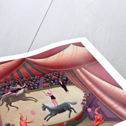 The Circus Ring by Jerzy Marek