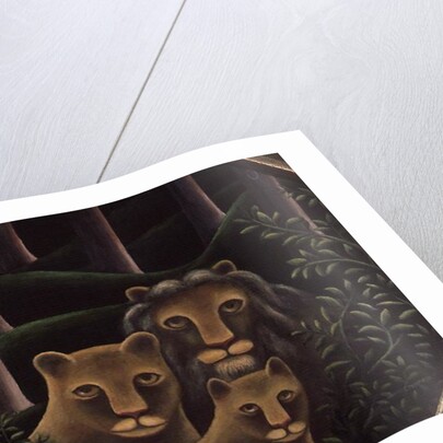 Hiding Place by Jerzy Marek