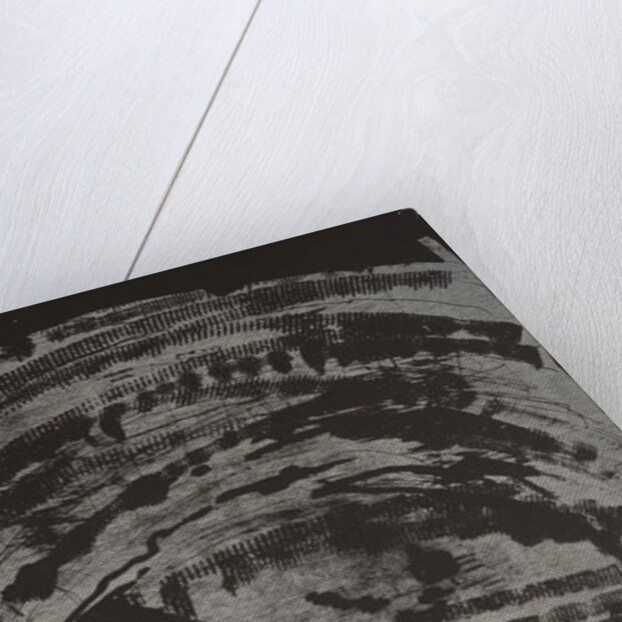 Poisoned Earth II, 2013 by Janet McKenzie