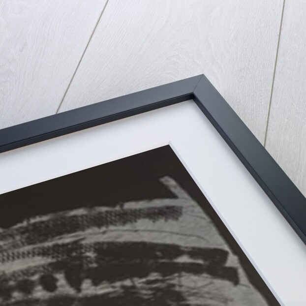 Poisoned Earth II, 2013 by Janet McKenzie