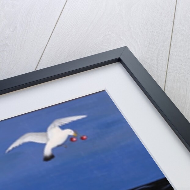 Thief, 2008 by Jenny Barnard