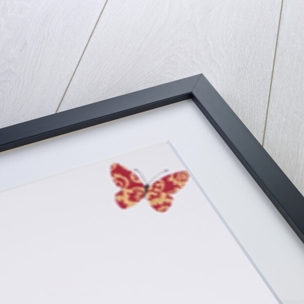 Les Papillons, 2008 by Jenny Barnard