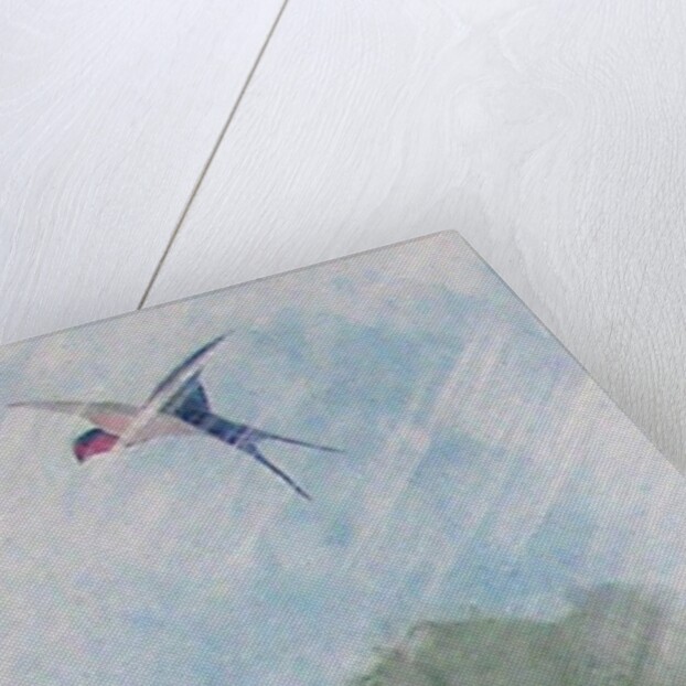 The First Sign of Spring, 2009 by Jenny Barnard