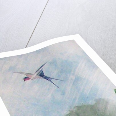 The First Sign of Spring, 2009 by Jenny Barnard