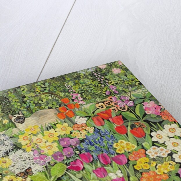 Spring Cats by Hilary Jones