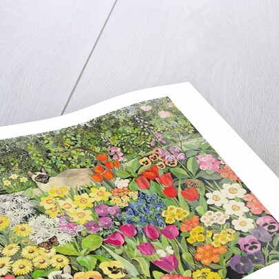 Spring Cats by Hilary Jones