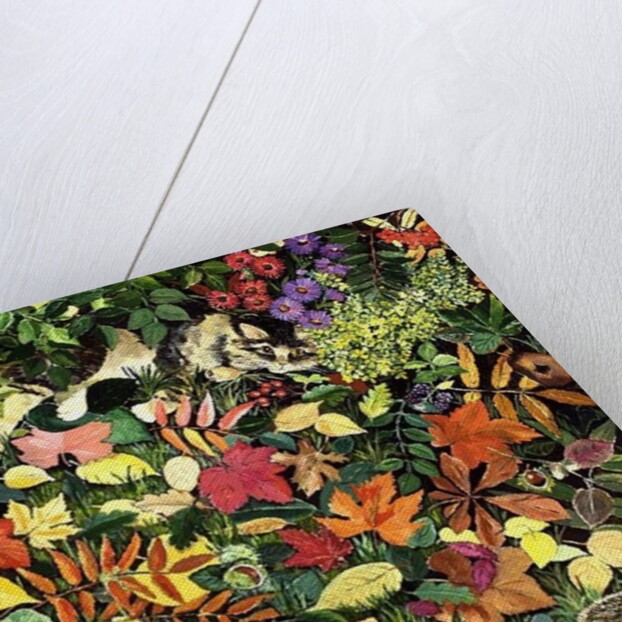 Autumnal Cat by Hilary Jones