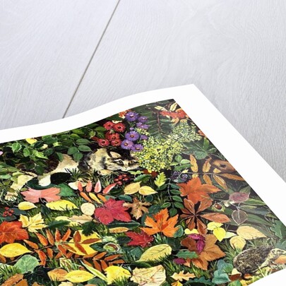 Autumnal Cat by Hilary Jones