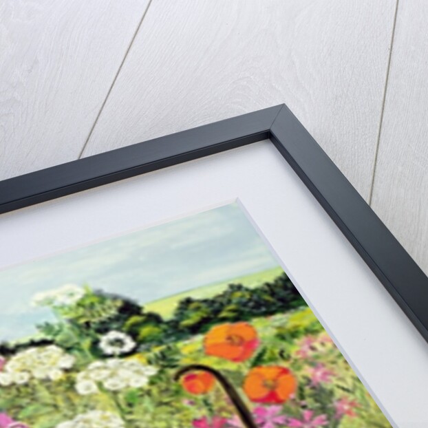 Summer Cat by Hilary Jones