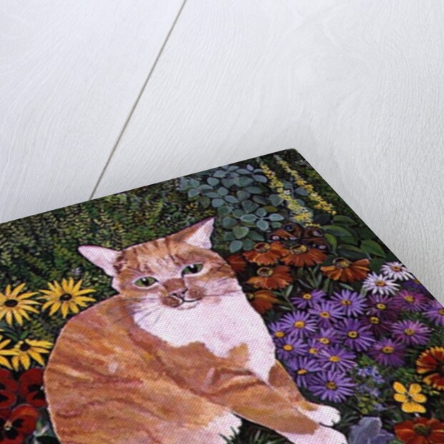 The Carpenter's Cat by Hilary Jones