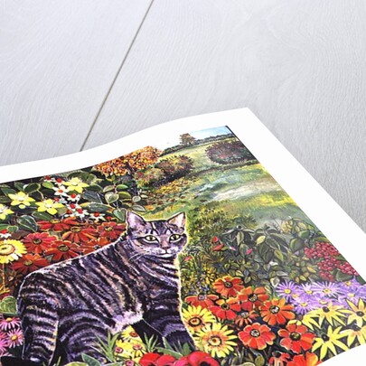 Going My Way? by Hilary Jones