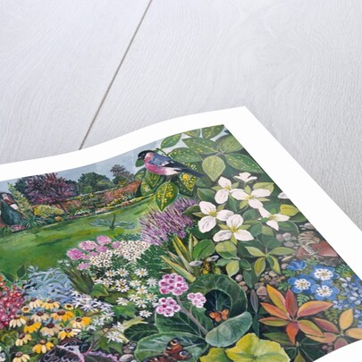 The Garden with Birds and Butterflies by Hilary Jones