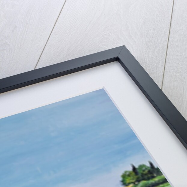 Summer from The Four Seasons by Hilary Jones