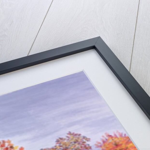 Autumn from The Four Seasons by Hilary Jones