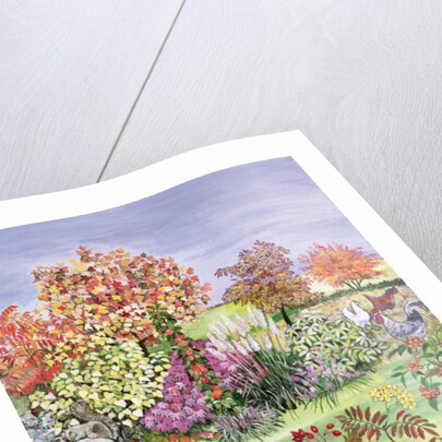 Autumn from The Four Seasons by Hilary Jones