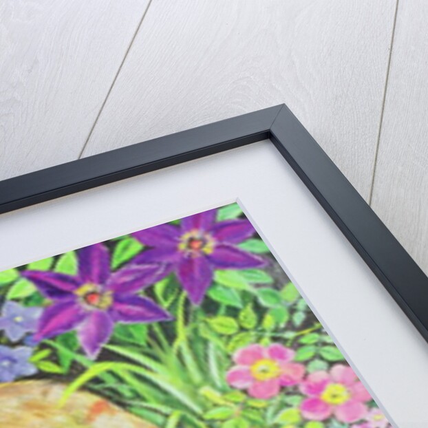 The Barnet Fox by Hilary Jones