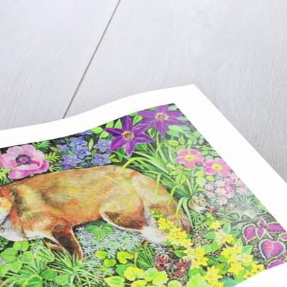 The Barnet Fox by Hilary Jones