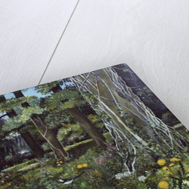 Behind the Squires, Devon by Hilary Jones