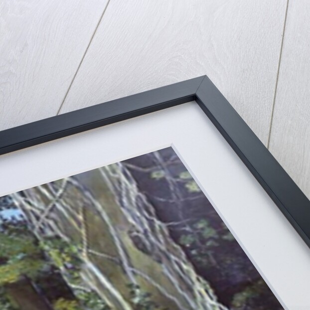 Behind the Squires, Devon by Hilary Jones