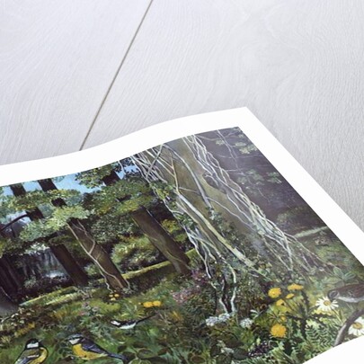 Behind the Squires, Devon by Hilary Jones