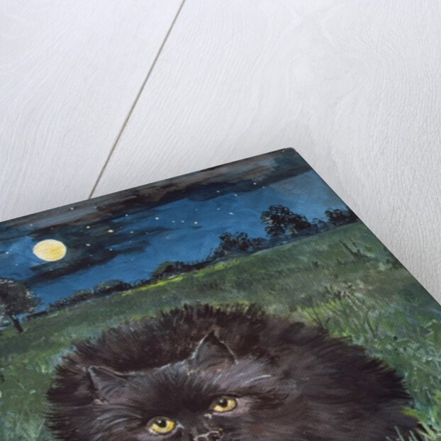 The Cat and the Moon by Hilary Jones