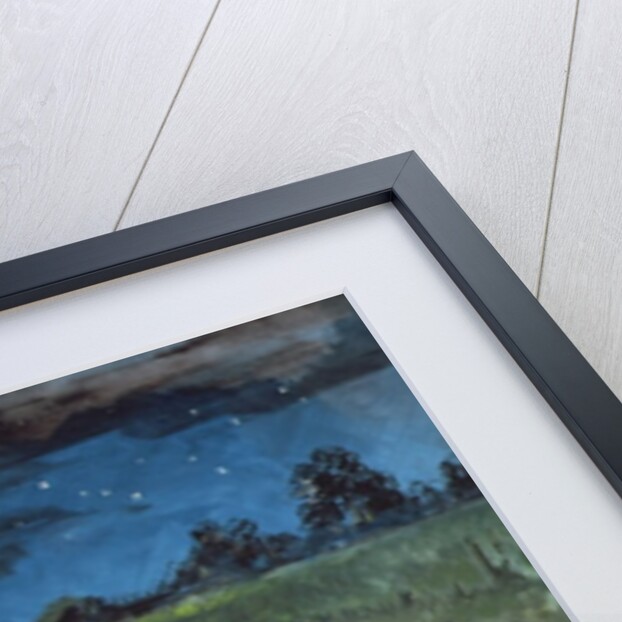 The Cat and the Moon by Hilary Jones