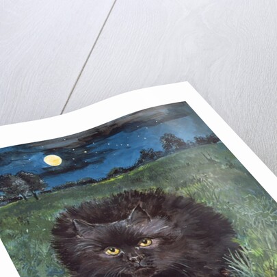 The Cat and the Moon by Hilary Jones