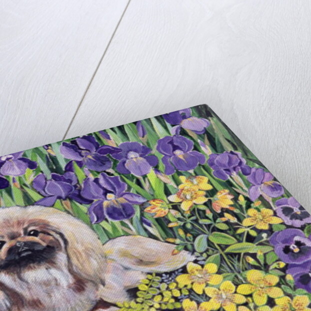 Peke in the Flower Bed by Hilary Jones