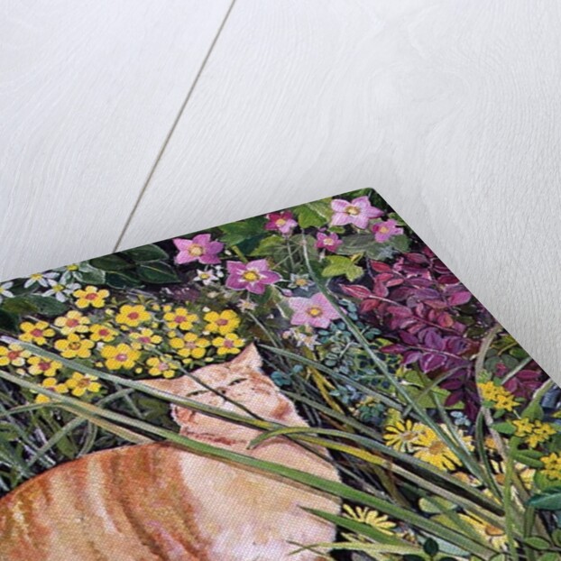 Cat and Long Grass, 1996 by Hilary Jones