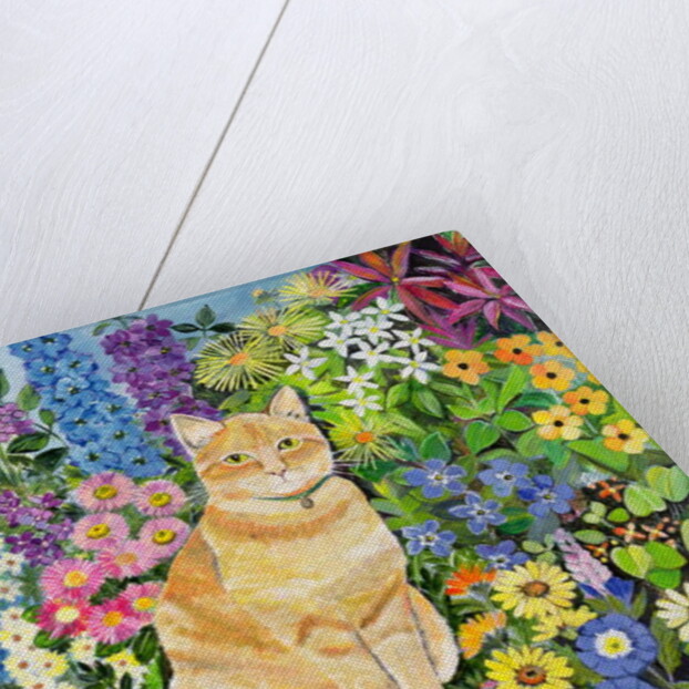 Gordon's Cat, 1996 by Hilary Jones