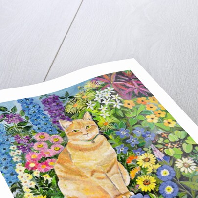 Gordon's Cat, 1996 by Hilary Jones