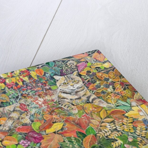 Tabby in Autumn, 1996 by Hilary Jones