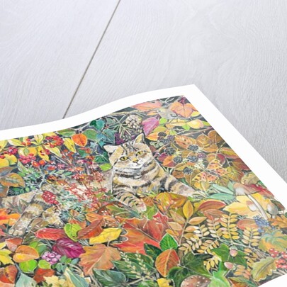 Tabby in Autumn, 1996 by Hilary Jones
