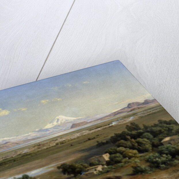 View of Mexico in 1905 from the hill of Guadalupe, 1905 by Jose Maria Velasco