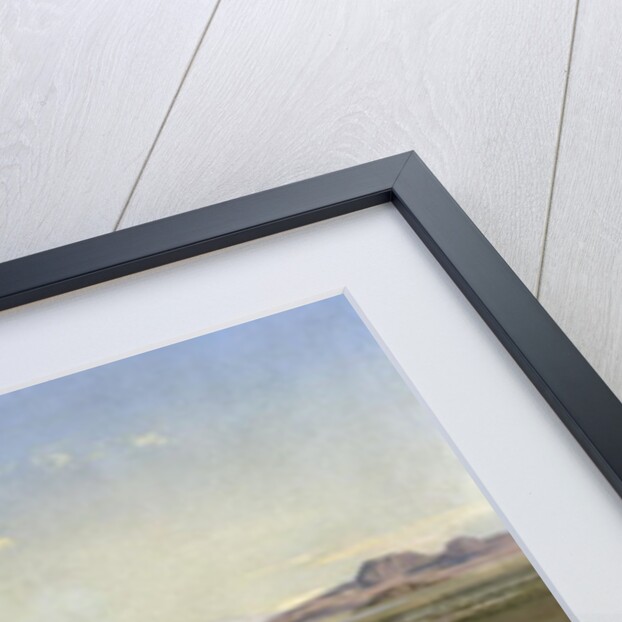 View of Mexico in 1905 from the hill of Guadalupe, 1905 by Jose Maria Velasco