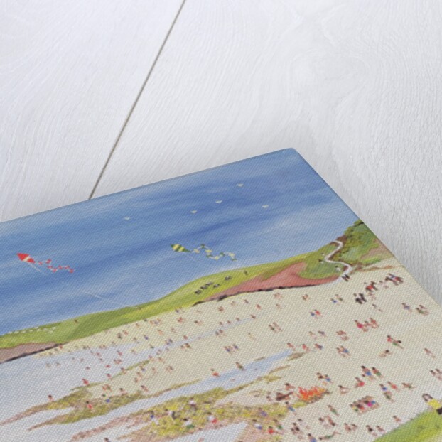 Cliffs and Bay by Judy Joel