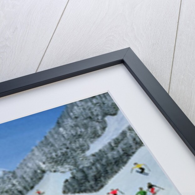 Ski Whizzz!, 1991 by Judy Joel