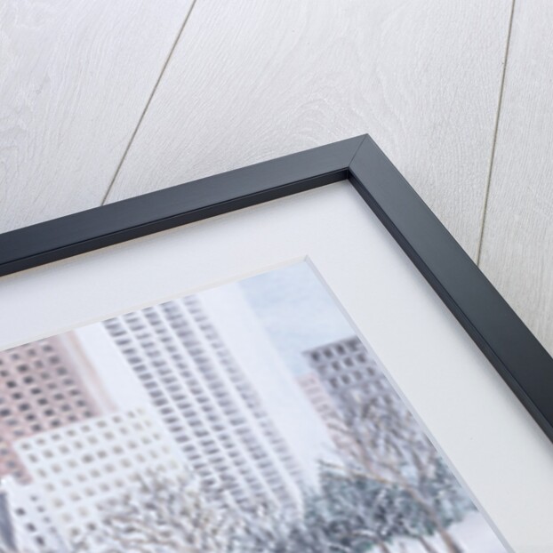 Skating Rink, Central Park, New York, 1994 by Judy Joel
