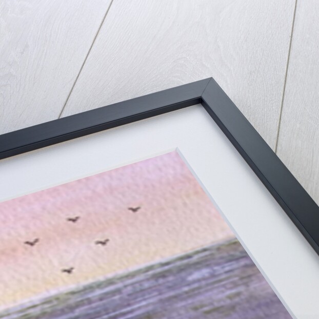 Twilight Fishing, 1988 by Judy Joel