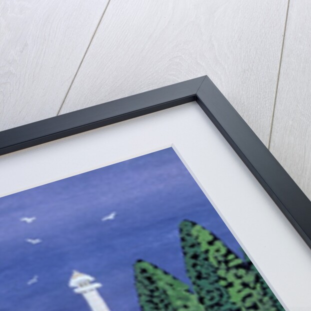 Taj Mahal, 1995 by Judy Joel