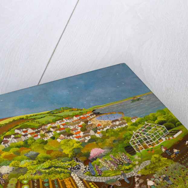 Allotment above Mousehole, 2013 by Judy Joel